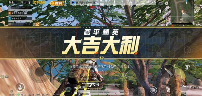 和平精英准星辅助器怎么下（和平精英准星辅助器平板怎么下）